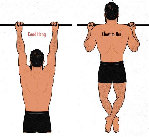 Pull up and Chin up Anatomy. Pull ups are performed with an overhand slightly-wider than shoulder-width grip whereas chin ups use a narrower and underhand grip. Both exercises are comparable because although the shoulder movements are different, the muscles responsible for those movements are the same. In pull ups, the arms are pulled …